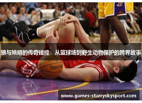 狼与姚明的传奇碰撞：从篮球场到野生动物保护的跨界故事