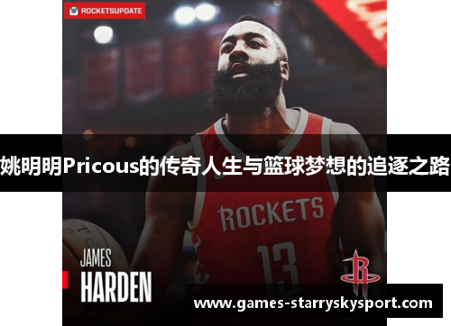 姚明明Pricous的传奇人生与篮球梦想的追逐之路